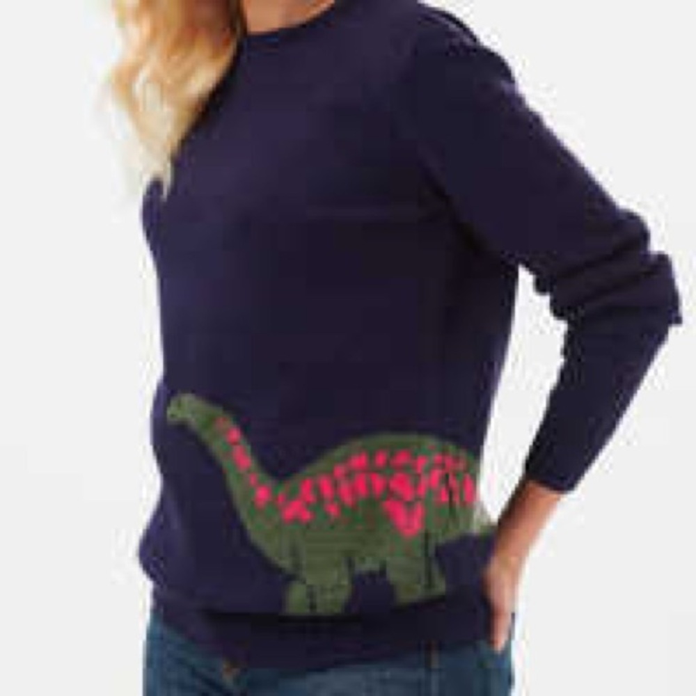 Sugarhill Brighton Navy Sweater with Green & Pink Dinosaur XL 14